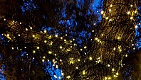 שרשרת נורות לד סולארית גרילנדה 50 נורות לד LED - צבע לבן