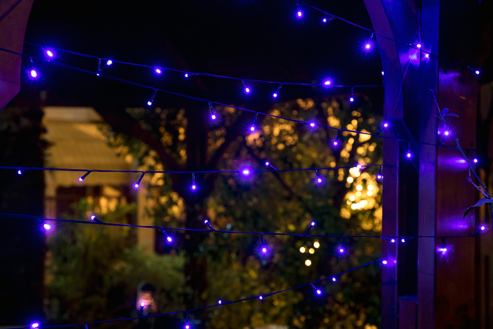 ����� ����� �� ������� ������� �� 100 ����� �� LED ���� ����