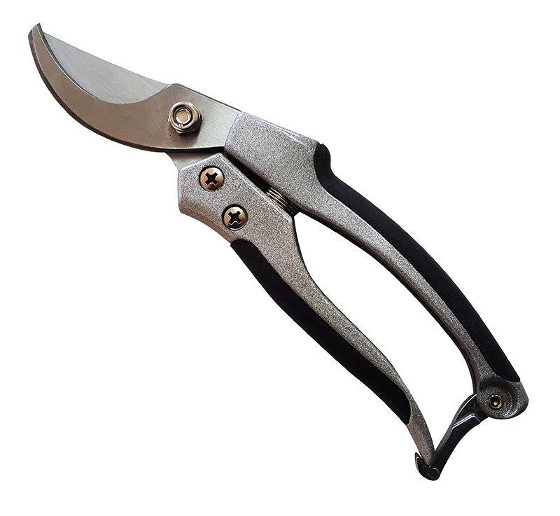 ����� ����� ������� ���� �������� ��� carbon steel
