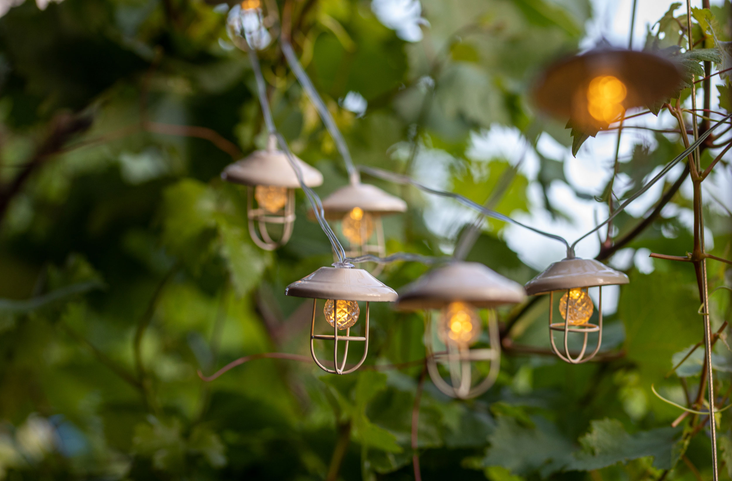 ����� ����� �� ������ �� ������� 10 ������ ����� ��� �� ���� 4 ���