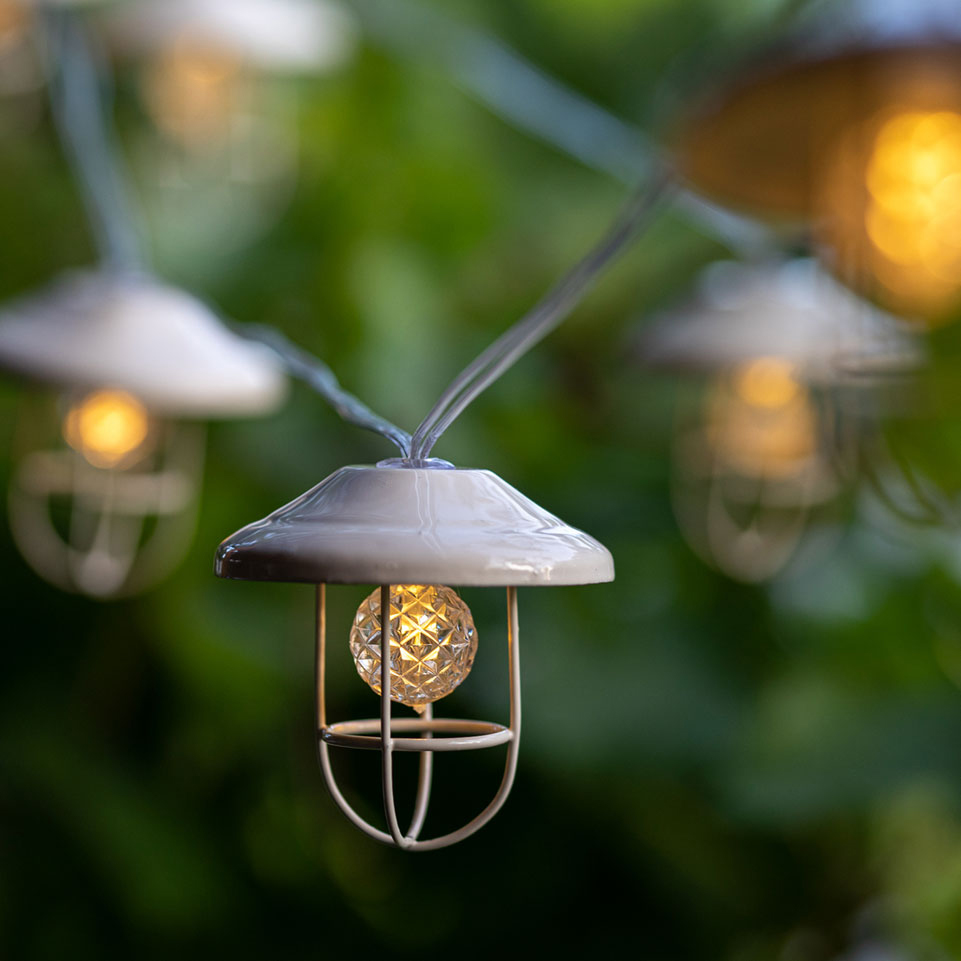 ������� �� ����� ���� �������  10 ������ - ��� ��� ��