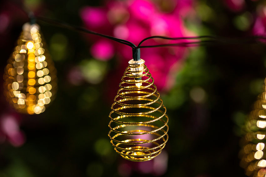 ����� ����� ������ ���� ������� ������� �� 10 ����� �������