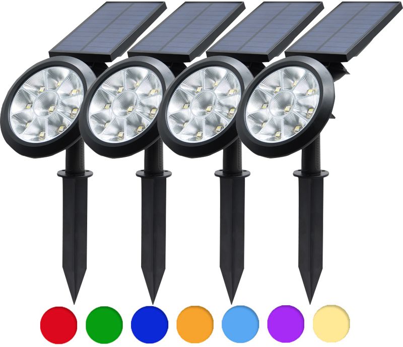 ���� �� ������ �����