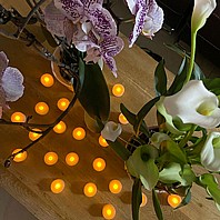 ���� �� ��� ���� �� ������ 24 ������