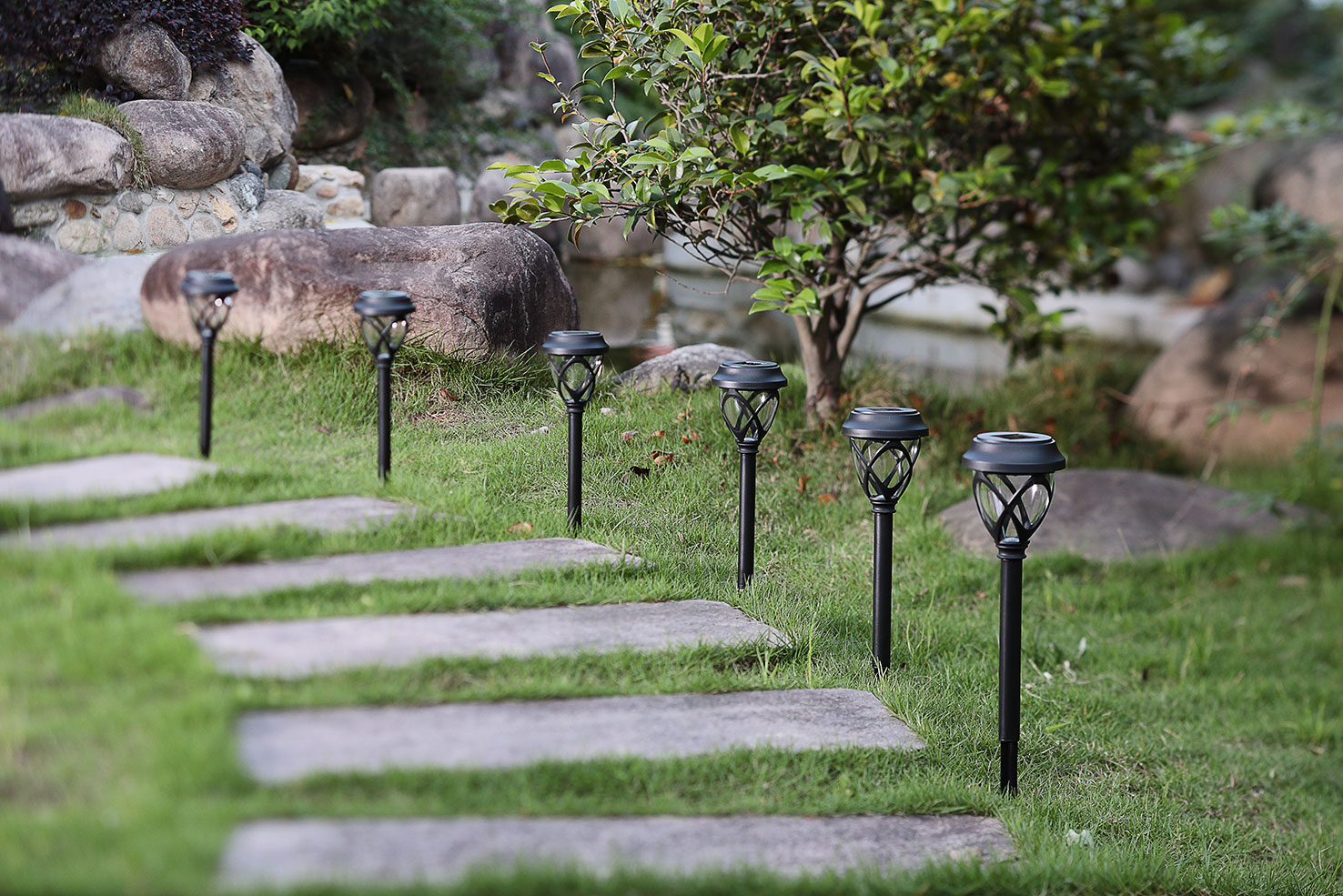 ����� ����� ������� ����� 1+5 ���� ��� ����� ����� ����� / ��� ��