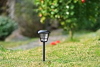 ����� ������� ����� ��� �� / ���� ��� ������