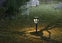 ����� ������� ����� ��� �� / ���� ��� ������