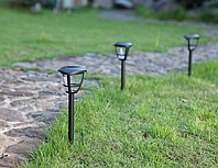 ����� ������� ����� ��� �� / ���� ��� ������