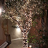 גרילנדה שרשרת נורות לד 200 נורות לד LED באורך 23 מ' מוגן מים בגוון לבן חם צהוב