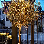 גרילנדה שרשרת נורות לד 200 נורות לד LED באורך 23 מ' מוגן מים בגוון לבן חם צהוב