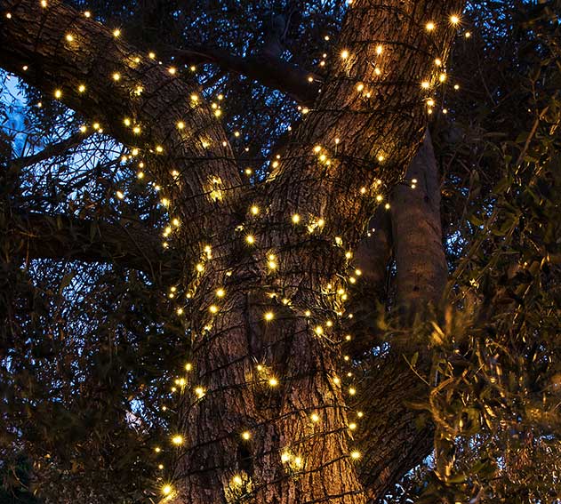 ������� ����� ����� �� 200 ����� �� LED  ����� 23 �' ���� ��� ����� ��� �� ����