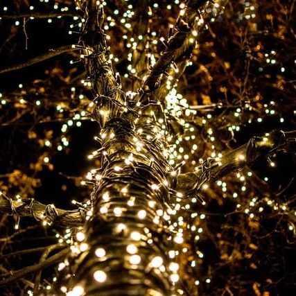 ��� ������� 7 ���