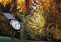 ����� ������� ������ �������� �����