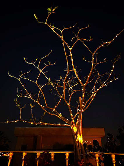 ������� �� ��� ���� ������ 10 ���� �� 200 ����� �� ���� 2 ���