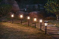 ����� ��� �������