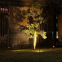 תאורת חוץ-ספוטים סולאריים לגינה תאורה סולארית חזקה - אור כחול