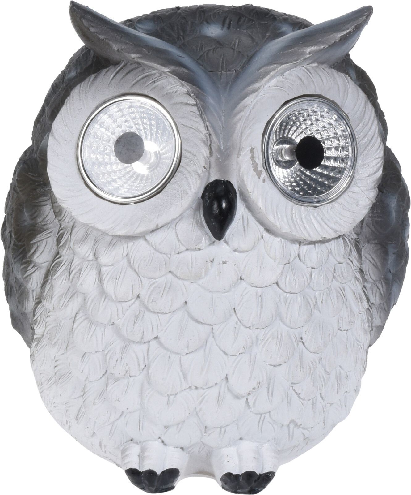 ����� ������ ������ �������� ����� ������� �� ������ ������