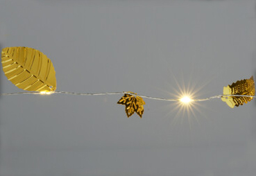 ������ �� 2 ��� �� ������ �� 20 ������ ��� ���� ����